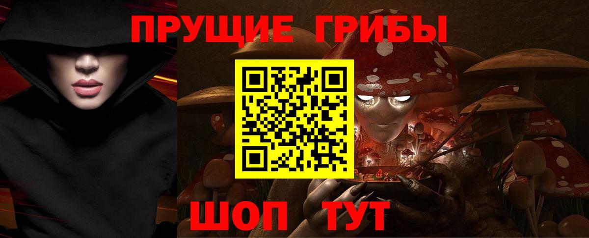 Псилоцибиновые грибы Psilocybine cubensis  как найти наркотики  Отрадный  Вход с VPN 